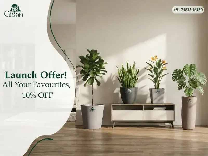 A special 30-day launch window with added value across our collection.