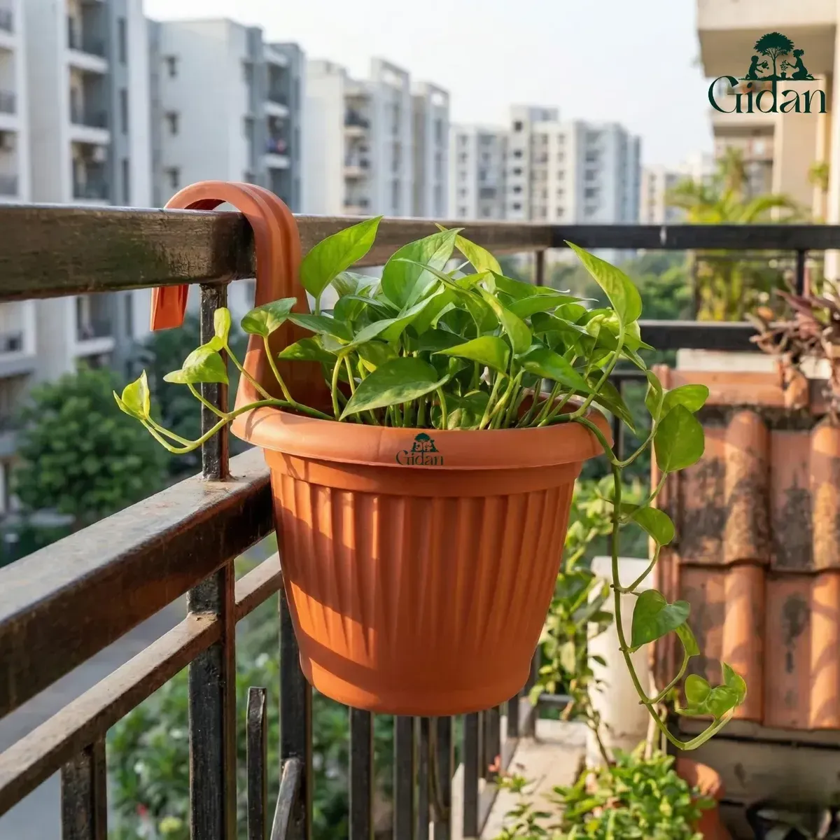 Bello Hook Pot (Set of 5pcs)