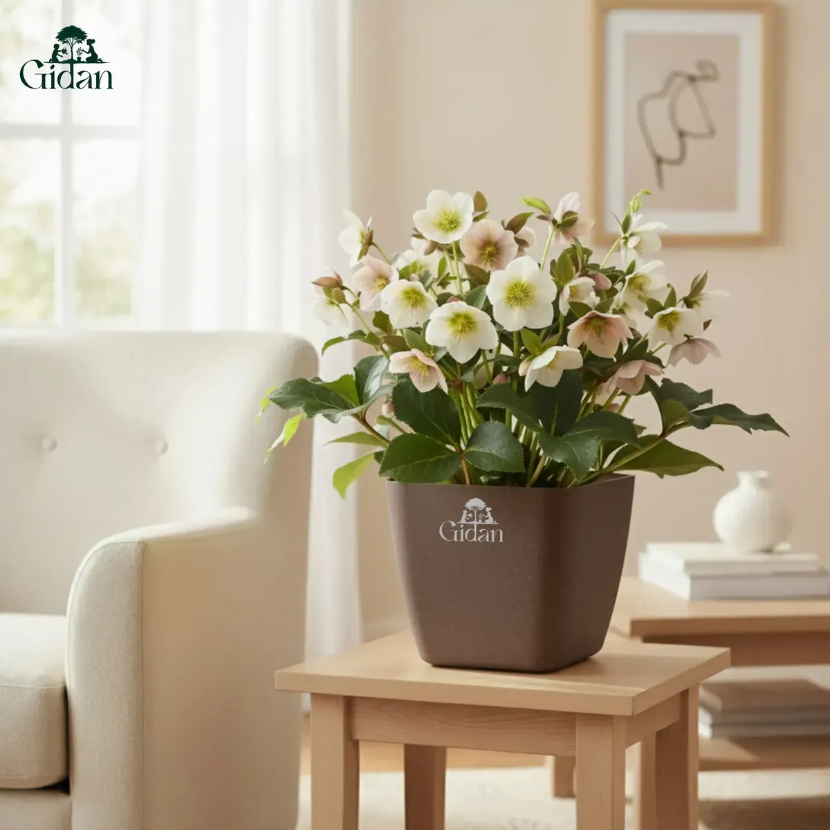 Siena Eco (Set of 2)