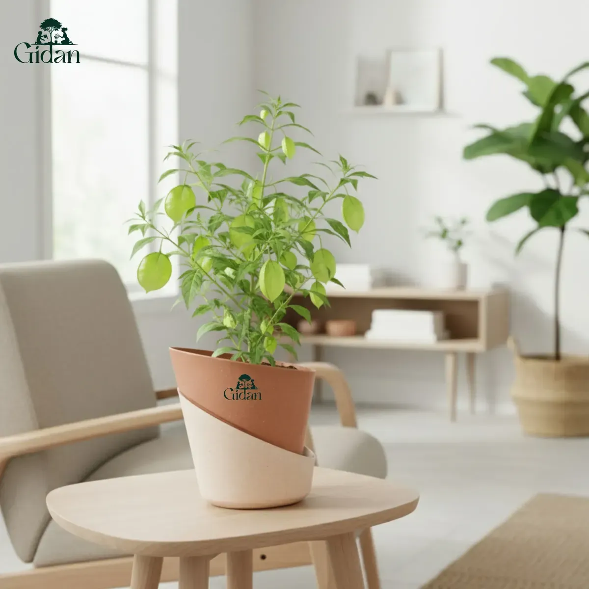 Atlantis Small (Set of 5)