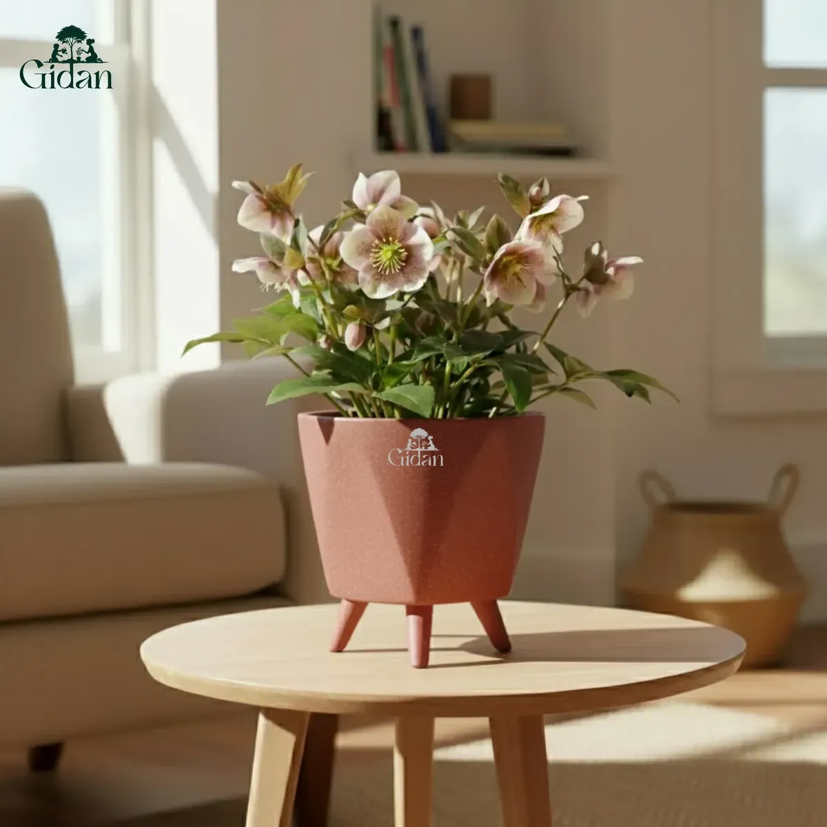 Lagos Pot (Set of 5)