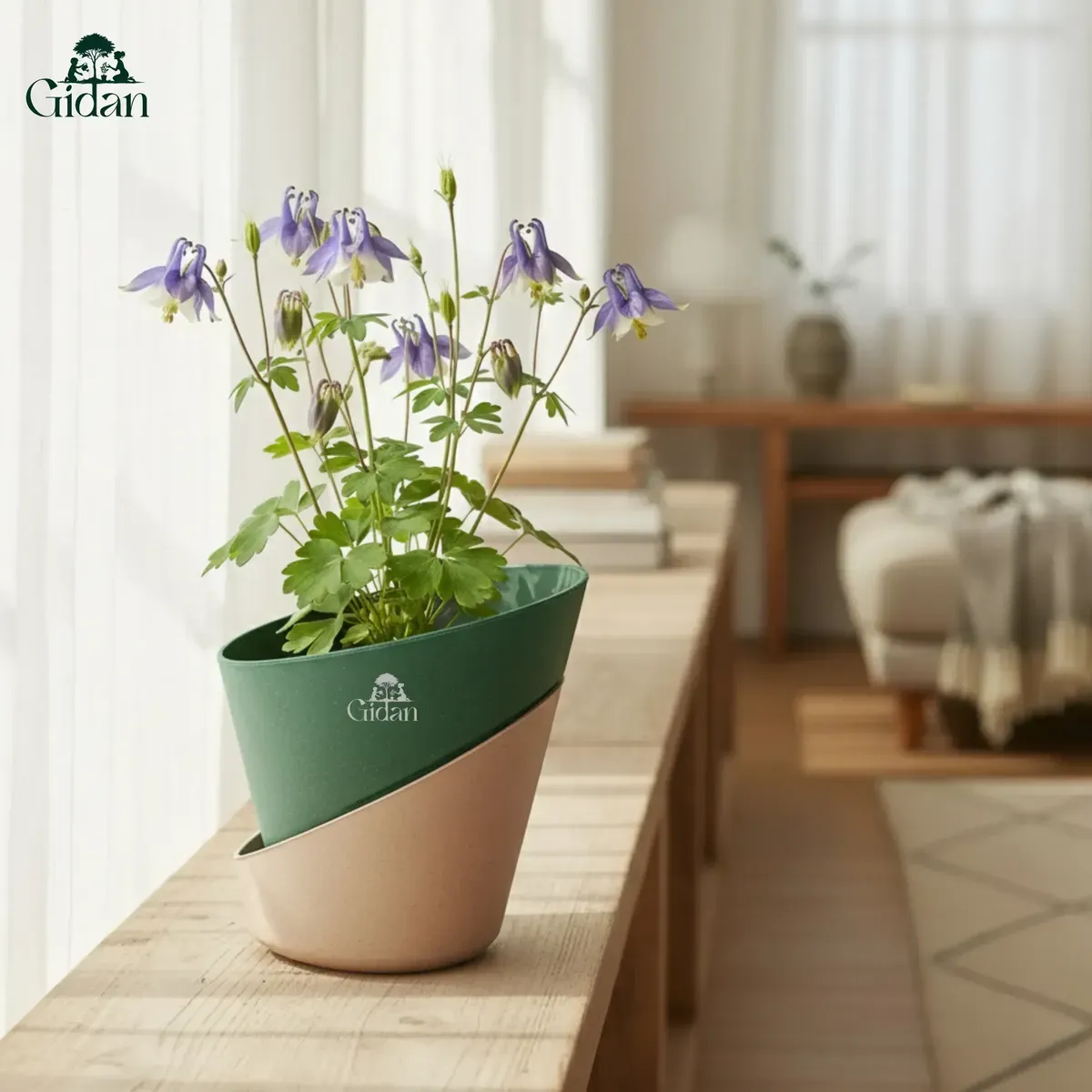 Atlantis Big (Set of 2)