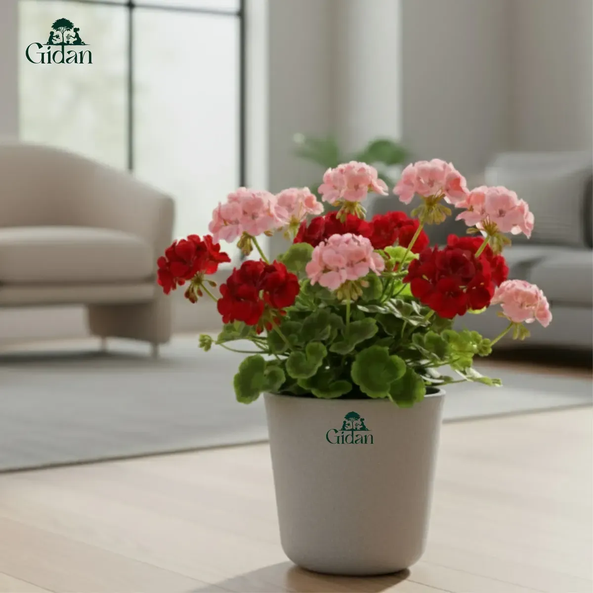 Rosa Short Planter