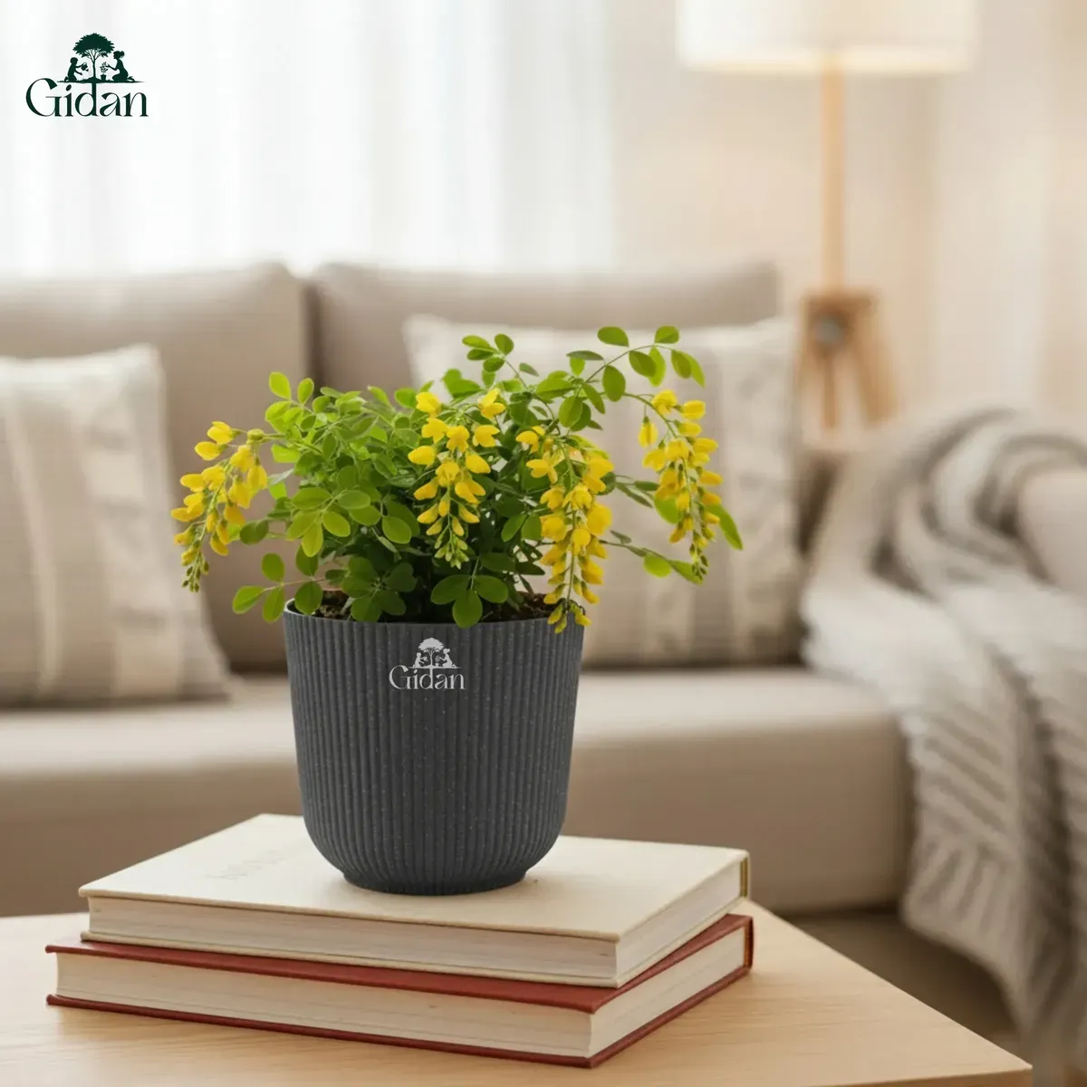 Ibiza Eco Pot (Set of 5)