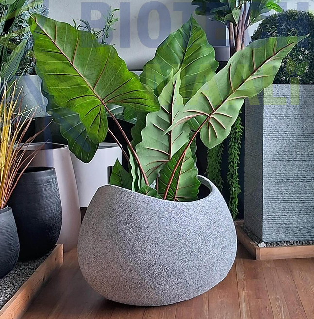 Grey Bowl Planter