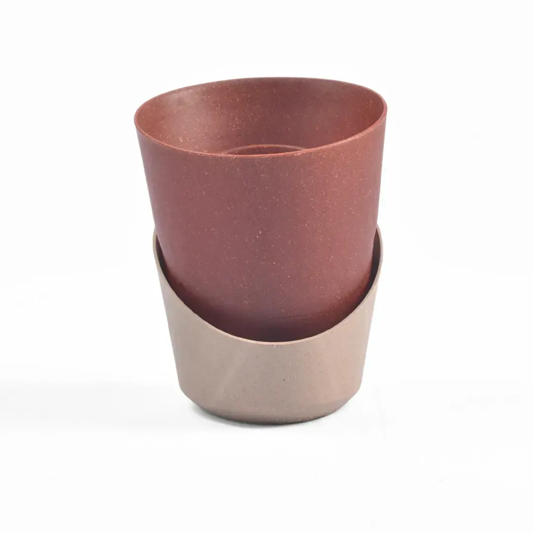 Atlantis Big (Set of 2)